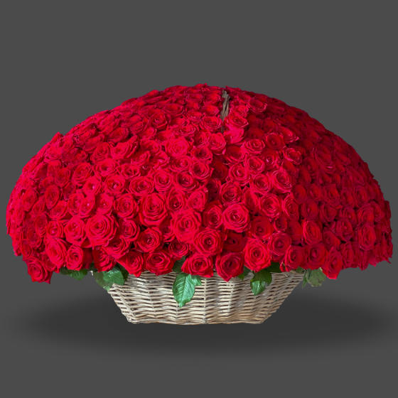 501 роза в корзине