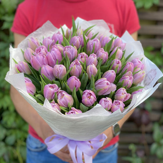 Лиловые пионовидные тюльпаны