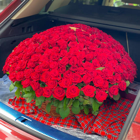 251 роза в корзине