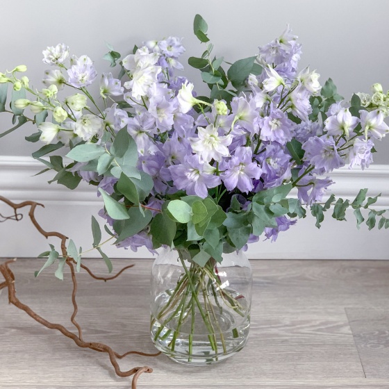 Дельфиниум