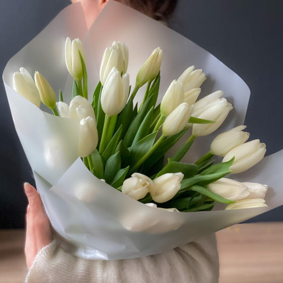 Белоснежный полет