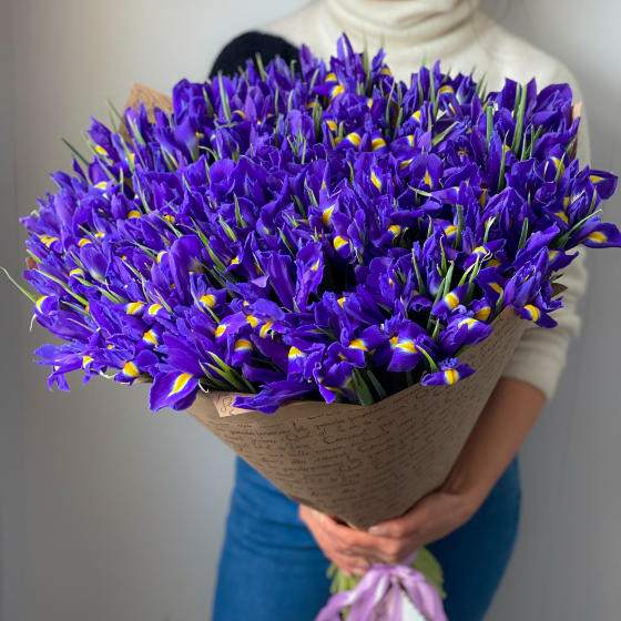 Ультравайлет