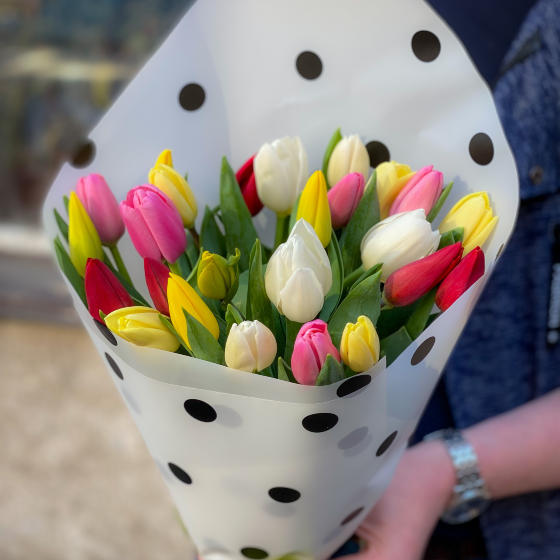 Самоцветы M