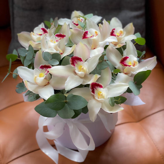 Белые бабочки