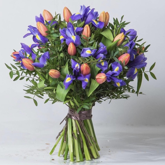 Магия цвета